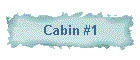 Cabin #1