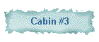 Cabin #3